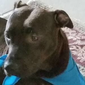 Meet your Posher, Sharon